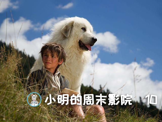 小明的周末影院：《灵犬雪莉：冒险再出发》(灵犬雪莉)