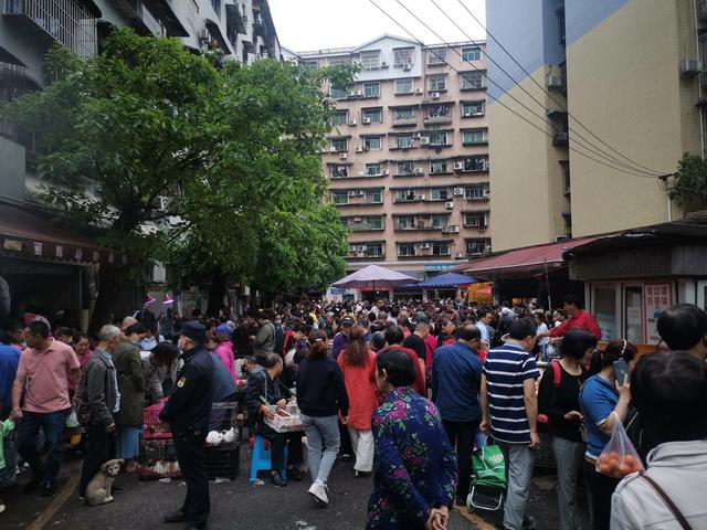 重庆宠物批发市场(重庆狗儿市场不光卖狗，吃喝用度啥都有，要想闹热里面走)