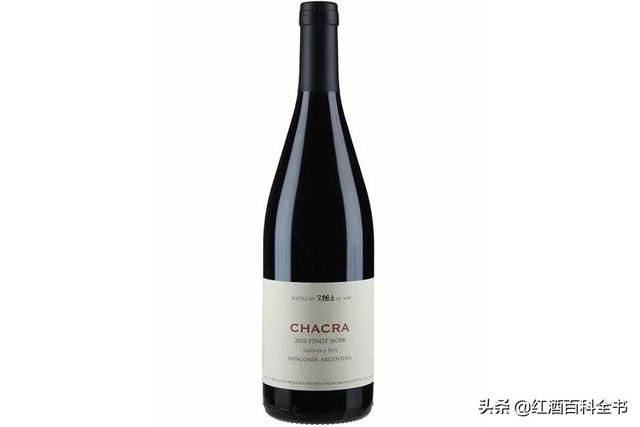 南澳大利亚的红酒(「重磅」2020年JS百大葡萄酒榜单出炉，满分酒竟超过一半？)