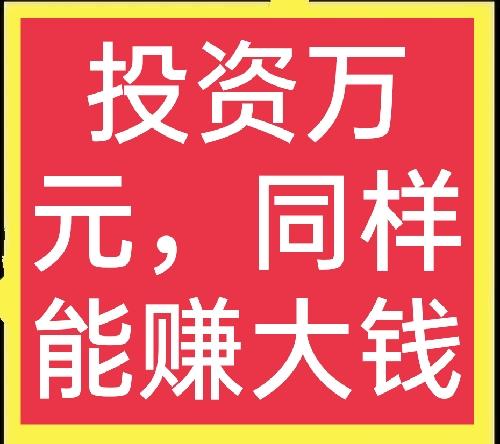 1万元在家创业项目(一万元能在农村投资什么项目？这里有六个选择，想赚钱的别错过)