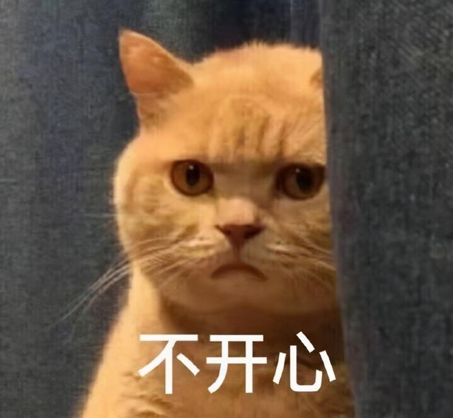 拼多多拼不到怎么办(拼多多店铺不出单？教你正确开车，拯救店铺流量)