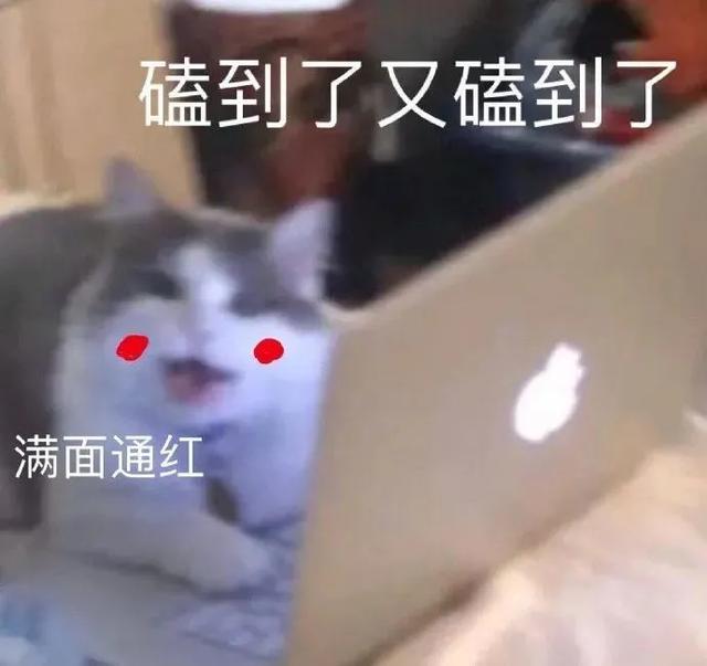 什么是人设标准回答(恋爱侦查员魏晨在线教学恋爱中如何正确立人设，网友：学到了)