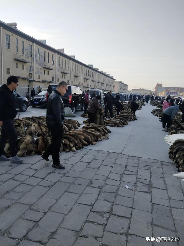 皮草批发市场哪最便宜(大营皮草市场)
