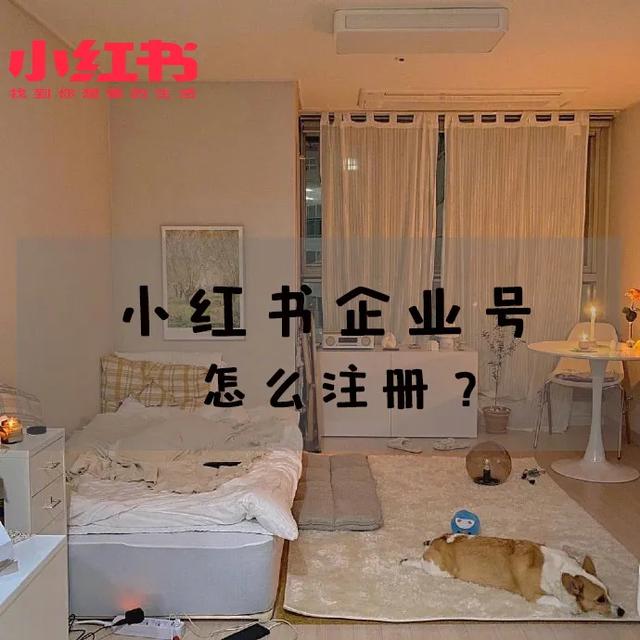 小红书认证企业号(小红书企业号怎么认证?)