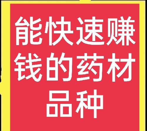 种植什么药材最值钱二(想发财种药材，分享六种高收入药材，建议收藏)