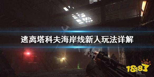 海岸线地图逃离塔科夫(《逃离塔科夫》海岸线地图怎么玩 海岸线新人玩法详解)