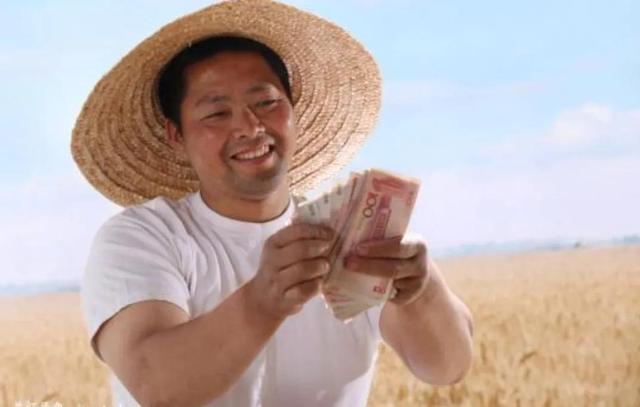 栽什么药材最保证赚钱(别再苦苦找药材种植项目了，这几种常见药材前景好，种植简单)