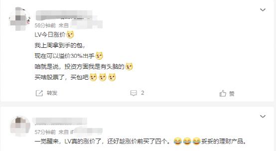 lv包包价格一览表(买包才是理财？LV大幅涨价，有经典款一夜涨20%)