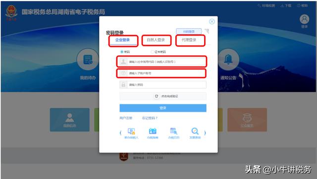 税务登记纳税人名称一般写什么(秒懂！纳税人办理涉税业务官方词汇简述)