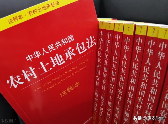 林地承包多少钱一亩(2022年农村土地承包每亩补贴多少钱？有什么新变化？一文为你解读)
