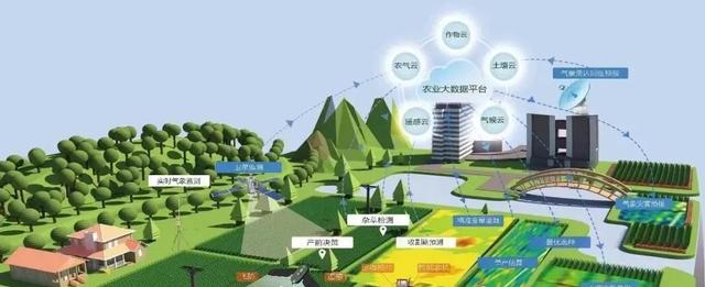 国家农业补贴项目有哪些(「政策解读」2021年国家将重点扶持哪些农业项目)