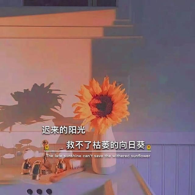 背景素材图片(分享一些超赞的朋友圈背景图)