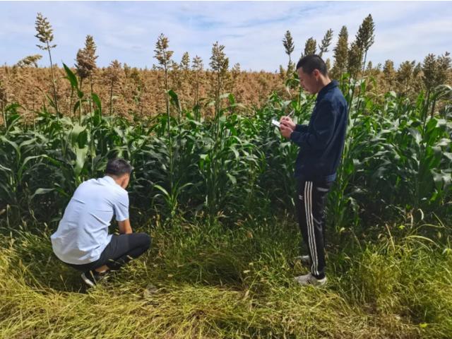 中华保险怎么样好不好(中华保险口碑好不好 因地制宜积极创新)