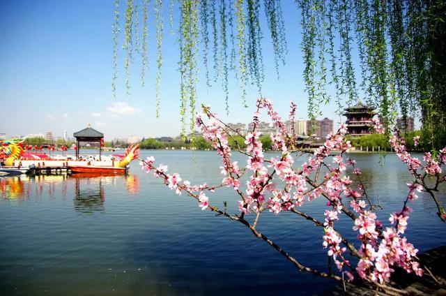 家庭微信群温馨的名字大全(适合春天发朋友圈的诗句，浪漫又唯美)