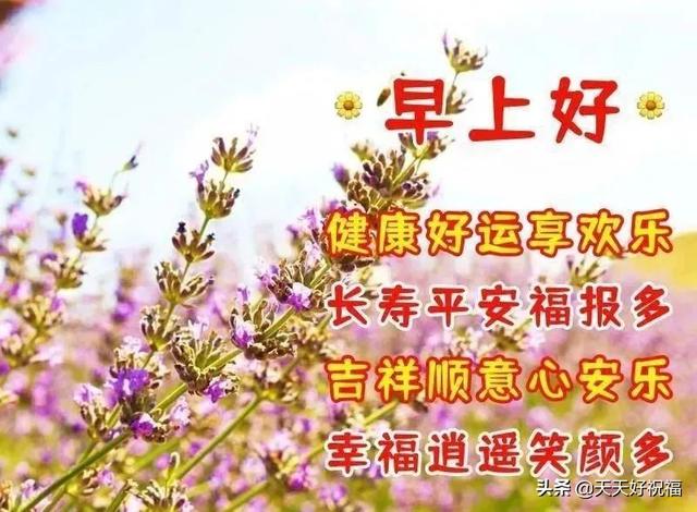 照片上加文字(创意唯美亲人朋友早上好祝福图片 2022春日清晨早安问候语图片文字)