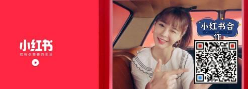 小红书企业号怎么注册费用(小红书企业号变专业号，有哪些调整？)