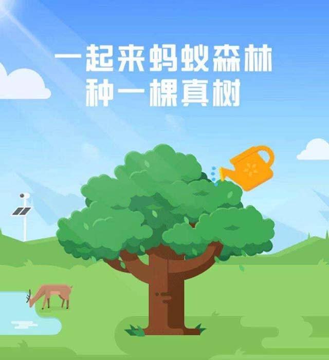 蚂蚁森林种树奖励(马云承诺每年在沙漠种1亿棵树，5年过去了，这些树都怎么样了？)