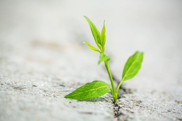 心理援助热线(快收藏，全国心理援助热线汇总，转给需要的家人朋友)