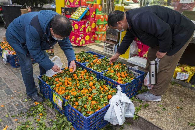 广州最大水果批发市场(旺销山东广西砂糖橘产地更多非柑橘水果上市，车厘子市场将转换？)