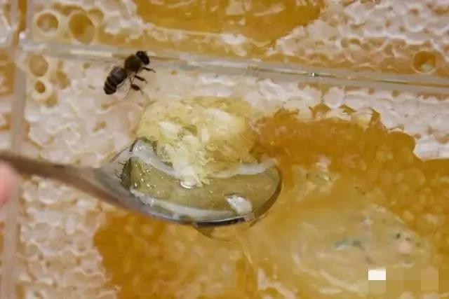 创业案例分享(分享一个创业故事90后小伙发现一个冷门项目，7天获利1万+，)