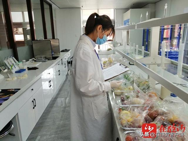 嘉兴水果批发市场属于什么区(临沂嘉兴水果市场：打造市民放心消费安全市场)