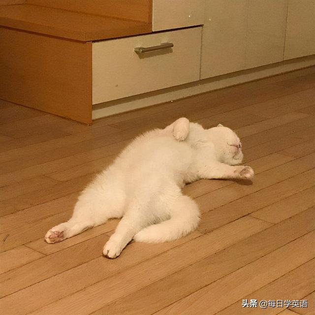 单边的英文(“躺平”和“内卷”用英语怎么说？别直接翻译成inner roll)