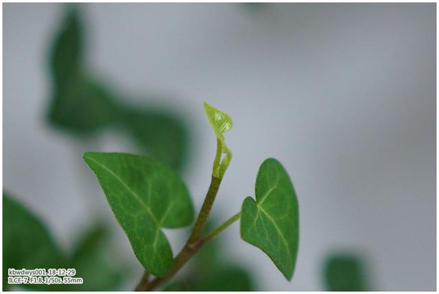 工作流程范文模板(清晨碎语：常规工作流程化（20181221）)