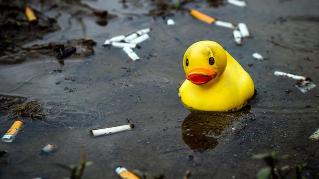 小黄鸭品牌儿童服装(陪你洗澡的小黄鸭，已经成了中国的皮卡丘)