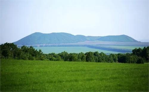 河北省土地管理条例2014修正(河北省恢复植被和林业生产条件、树木补种标准(试行))