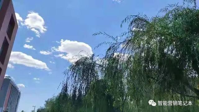 电话采集(全国实体店商家电话采集软件-大数据采集)