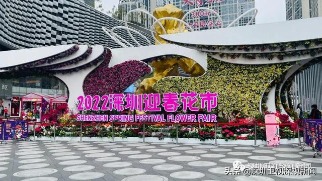 深圳盆栽花卉批发市场(深圳迎春花市开启！全市350个购花点，看看哪个离你最近)
