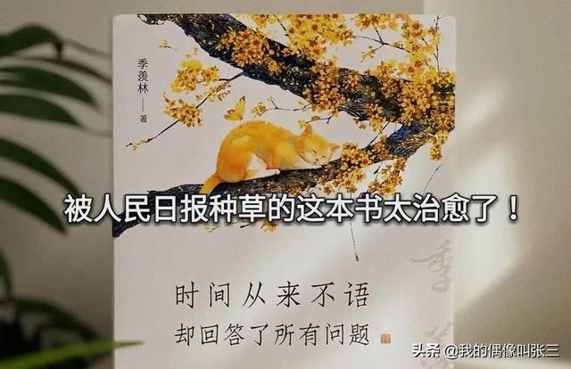 被人民日报种草的这本书太治愈了(夜梦书简介)