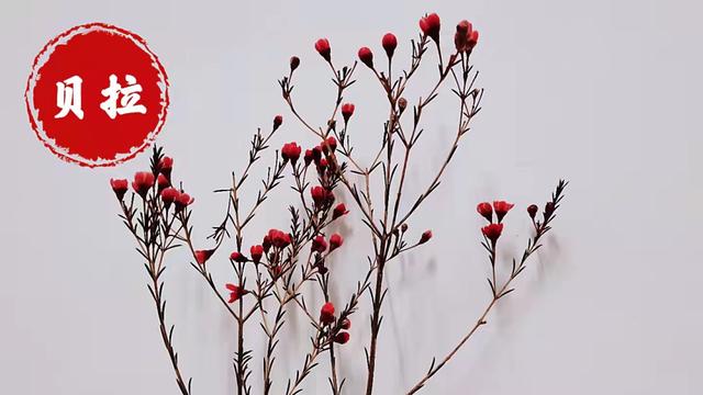 注册微信公众号有风险吗(别做公众号了，挣不到钱的)