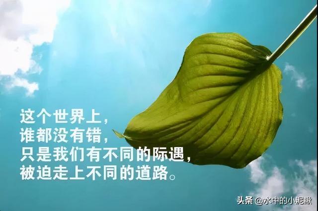 微信群发消息怎么发图片和文字(微信群发早上好图片问候，早安心语优美的语句子)