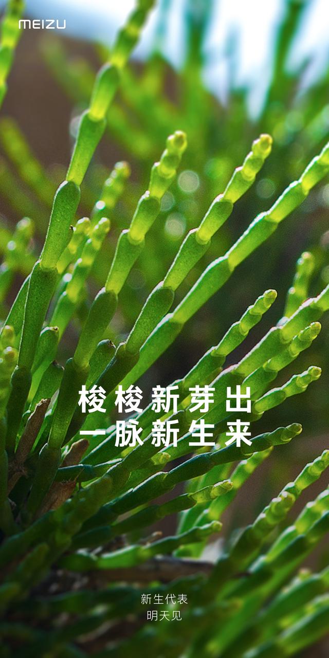 魅族新机最新消息(魅蓝新机终于要来？魅族官宣：有惊喜，明天见)