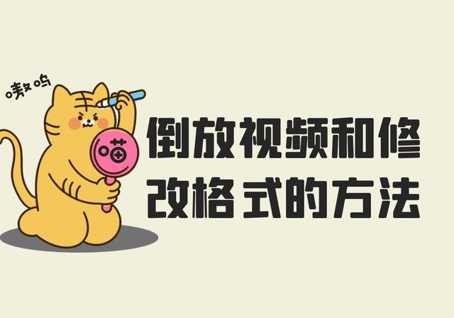 视频倒放软件(视频怎么倒放？怎么才能倒放视频并修改视频的格式呢？)