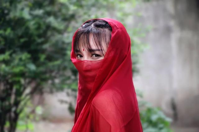 超级淘宝系统txt下载(“失去”李子柒，“李子柒”2021年销售额仍有30亿)