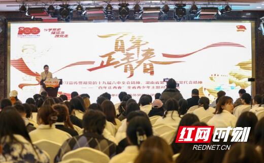 湖南外贸职业学院(湖南外贸职业学院组织开展“百年正青春”全省青少年主题对话宣讲活动)