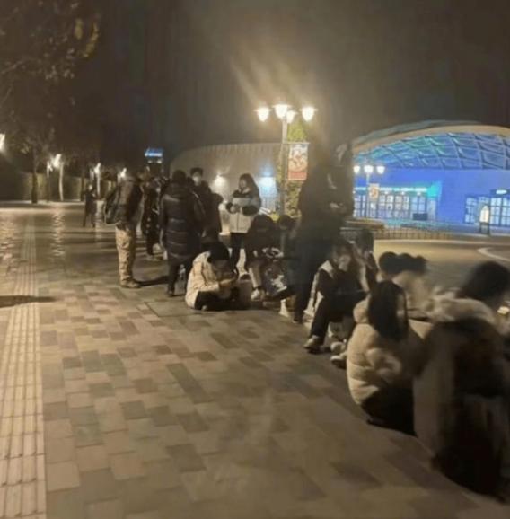 毛绒玩具连锁店(凌晨3点千人排队买玩偶，有人“憋到尿血”...没有故事的玲娜贝儿，如何拯救上海迪士尼)