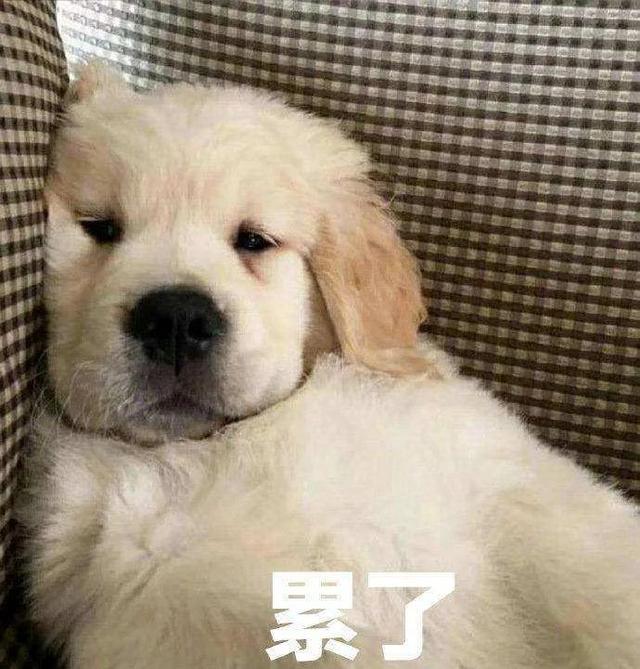 今年情人节流行送什么(开工VS情人节礼物哪个难？精选10大女生最爱的情人节礼物，这个坎先帮你过了)
