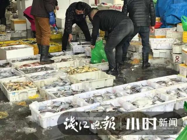 杭州小商品批发市场在哪里(大降价！杭城此地，5块钱就能淘到这种美味：太鲜了！有人抢货30斤：买到就是赚到)