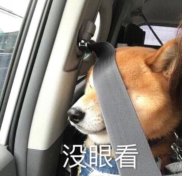 成人用品体验店犯法吗(离大谱！赣州一学校旁边竟开了家情趣用品店)