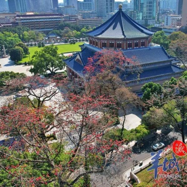 两尺六是多少厘米胸围(“木棉花开，冬不再来”)