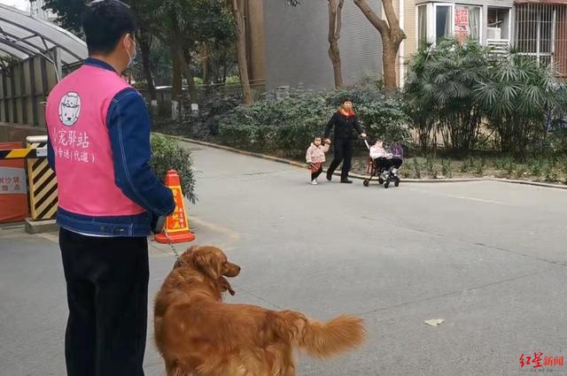 兼职,过年回家的(成都“职业宠护师”上线：90后小伙春节兼职喂猫遛狗，十余天收入一万八)