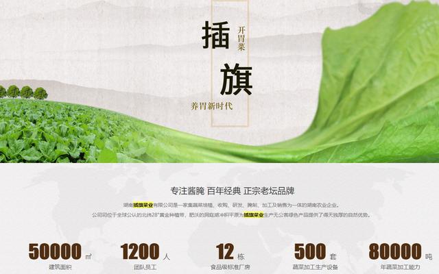 怎样删除百度快照里的手机号(3·15晚会曝光的插旗菜业：创始人被称为“芥菜大王”，芥菜做成酸菜包让收益涨十倍)