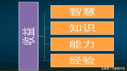 威客网络赚钱平台官网(利用网络平台赚钱 技术型赚钱 苦力型赚钱 小编亲测真实)