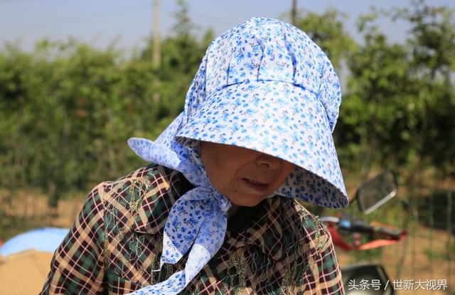 哪里批发儿童玩具气球(李大娘瞒家人花60元批发气球赶集 一个上午没有开市)