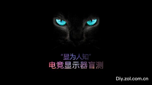 盲测是什么意思(近半数可称"垃圾" 10款电竞显示器专业性测试)