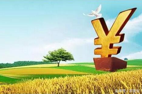 农业致富项目大全(农业不挣钱？知道这10个项目的都挣到了！)