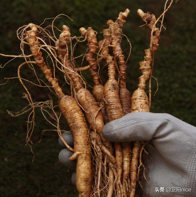 想卖货怎么找到一手货源(新手做直播带货型主播，用这4点，帮你找到可靠货源)